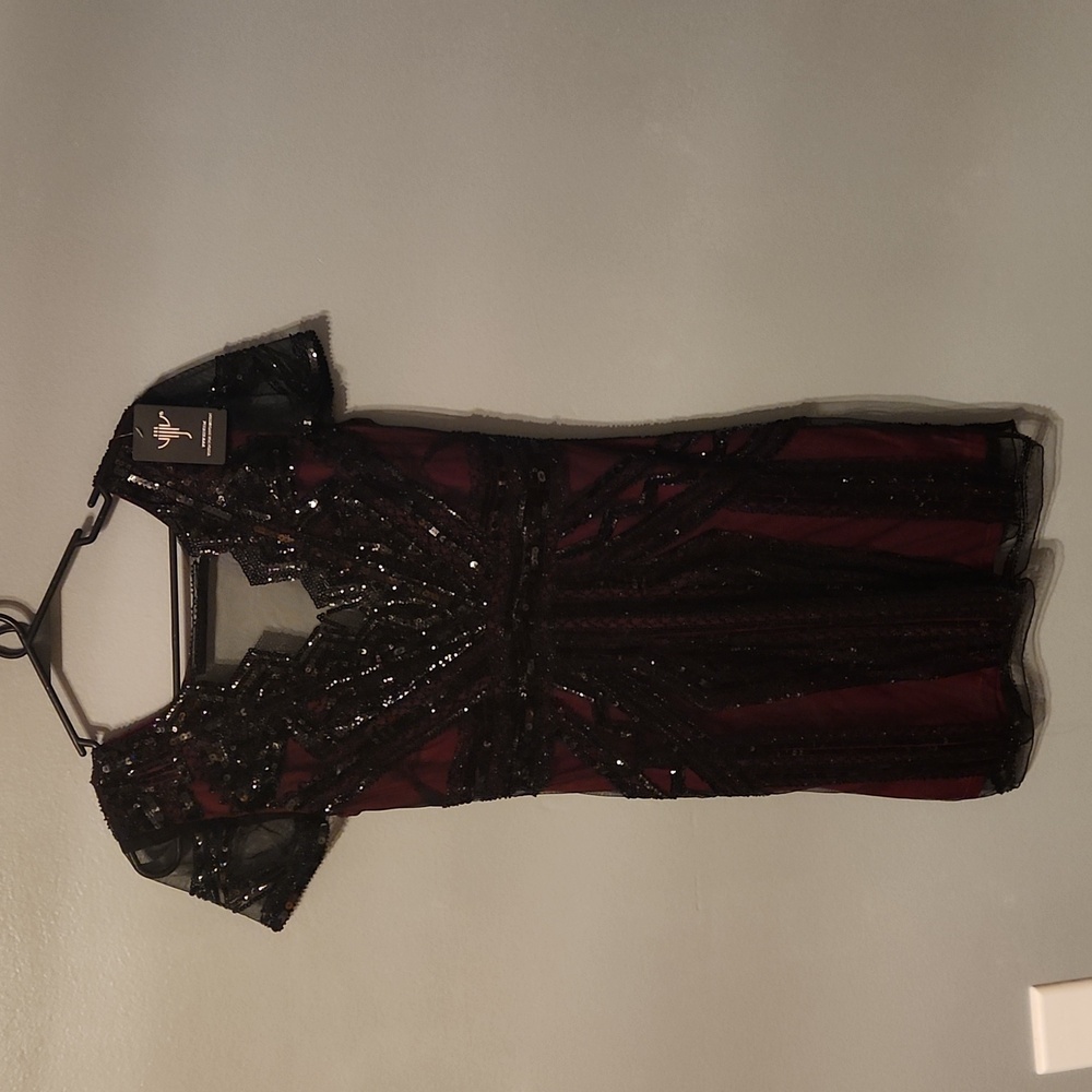 Beautiful sparkly maroon and black dress! Bought for a great Gatsby party